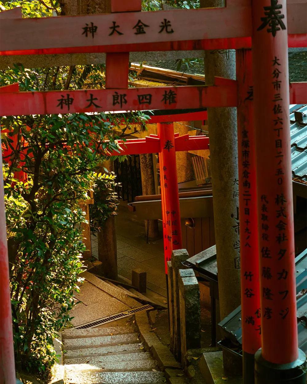 Gates to cemetary in the mountains of Fushimi Inari Taishi Kyoto, Japan